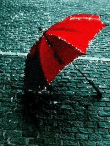 raindrops-red.gif